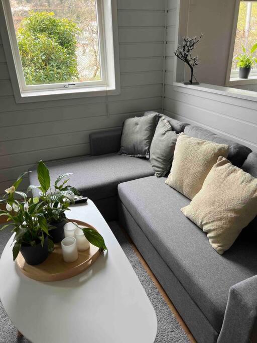 Cosy Apartment With Free Parking Bergen Dış mekan fotoğraf